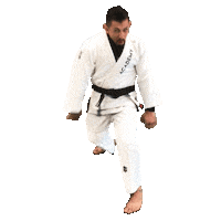 Grappling Martial Arts Sticker by Academy Jiu-Jitsu
