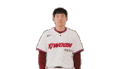 Kbo Sticker by Kiwoom Heroes Baseball Club