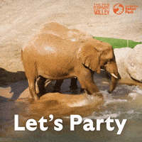 San Diego Zoo GIF by San Diego Zoo Wildlife Alliance