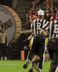 Fight On Big Ten GIF