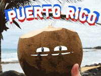 Happy Good Vibes GIF by Ethan Barnowsky
