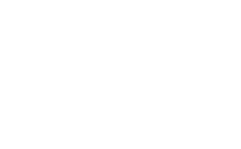 Donut Doughnuts Sticker by Bigfoot Donuts