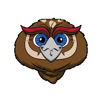 Hoot Owlsley Sticker by Florida Atlantic University