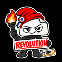 French Revolution Protest GIF by ZTIKIX