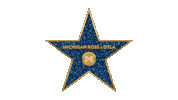 Michigan Ross Los Angeles Sticker by MichiganRoss