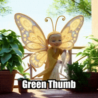 Plants Gardening GIF by BuddhaFlyJourney