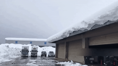 yj_jane giphygifmaker GIF