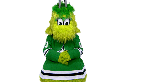 Dallas Stars Sport GIF by NHL