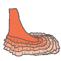 Falda Flamenco Sticker by RollerDanz