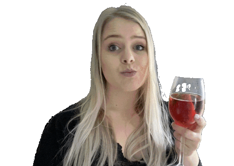 Plotterjeck giphyupload cheers wine prost Sticker