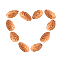 Almond Butter Almonds Sticker by MaraNatha Nut Butters