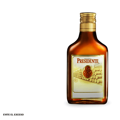 BrandyPresidente_MX giphyupload GIF