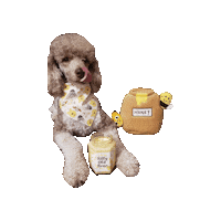 Winnie The Pooh Sticker by Geekster Pets