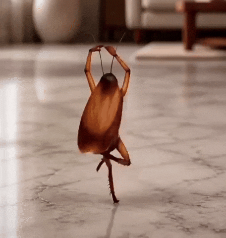 Cockroach GIF