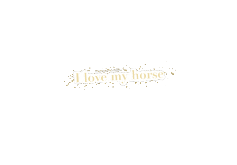 Ruitersportcentrummeulendijks horse liefde horses equestrian Sticker