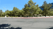 drive slow ford GIF by Off The Jacks