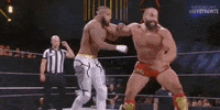 Aew On Tnt Miro GIF by All Elite Wrestling on TNT