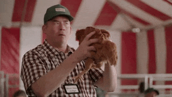 chicken bless this mess GIF by ABC Network