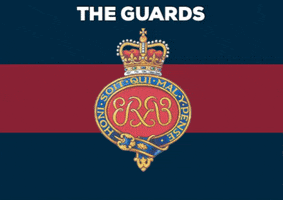 TheGuards guards british army grenadier guards the guards GIF