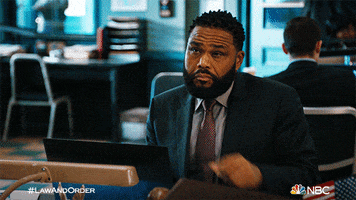 Episode 1 Reaction GIF by Law & Order