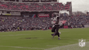 Tennessee Titans Football GIF by NFL