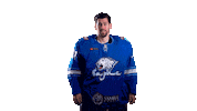 Hockey Swipe Sticker by barys_official