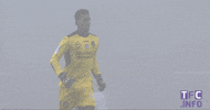 come on yes GIF by Toulouse Football Club