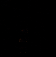 rocket launch GIF by NASA