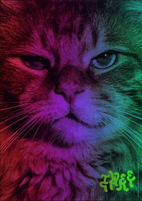 Tt23 GIF by sexylandworld