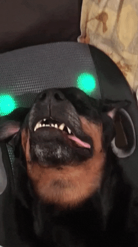 Relaxing GIF