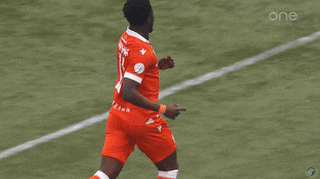 Forge Fc Cartwheel GIF by Hamilton Sports Group