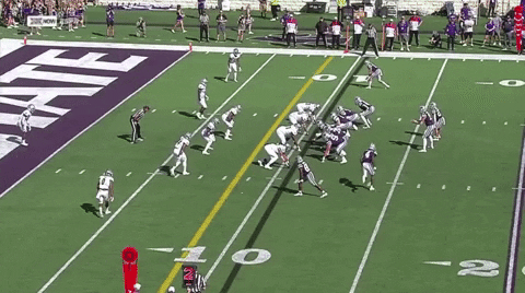 camerondparker giphyupload GIF