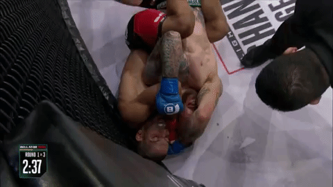GIF by Bellator