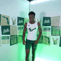 South Florida Horns Up GIF by USF Athletics