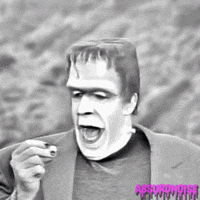 the munsters 1960s GIF by absurdnoise