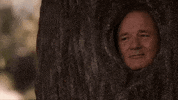Movie gif. Bill Murray as Agent 13 in Get Smart has his head fitted perfectly in a tree trunk hole. He squeezes his eyes shut as he tearfully shakes his head no.