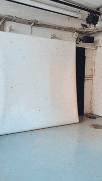 Vaikuttajamedia  GIF