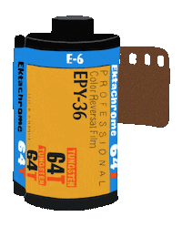 Film Illustration Sticker