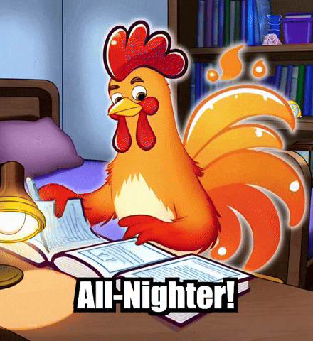 All-Nighter Study GIF by Zorooster