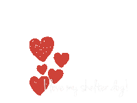 Dog Adopt Sticker by Sacramento SPCA