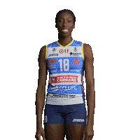 Volleyball Celebrate Sticker by ImocoVolley