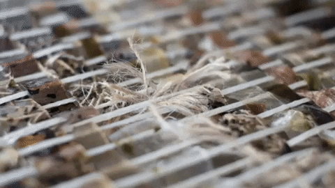 belarofe giphygifmaker GIF
