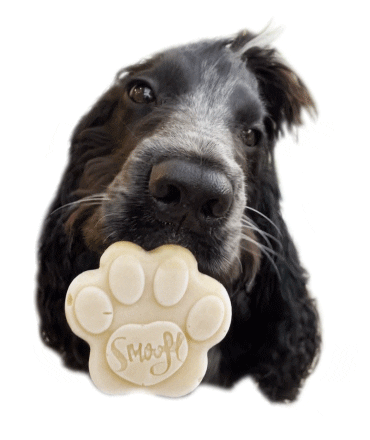 Ice Cream Treats Sticker by Smoofl