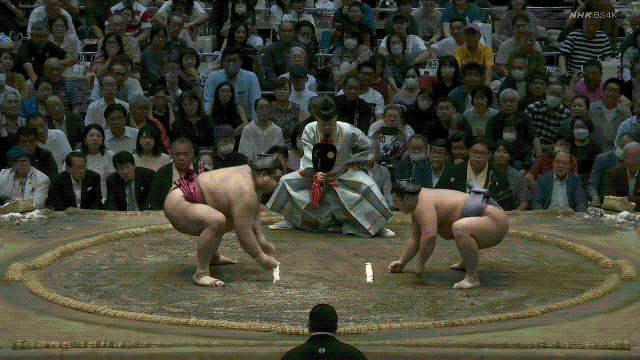 TZ85 giphyupload sumo 2023 aki basho tobizaru GIF