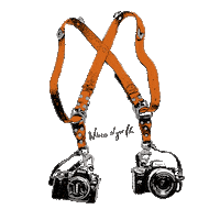 trianamendozagallardo photo camera photos photographer Sticker