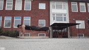 ups GIF