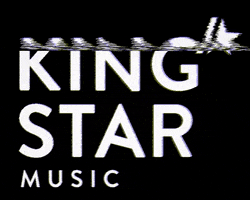 kingstar_music kingstar kingstarmusic GIF