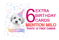 Happy Birthday Sticker