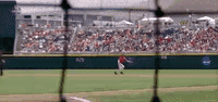 Baseball College GIF by NCAA Championships