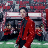 Stray Kids Skz GIF